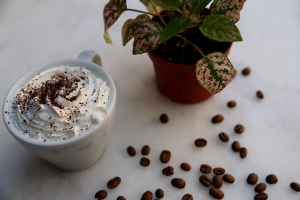 White Mocha