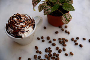 Zebra Mocha